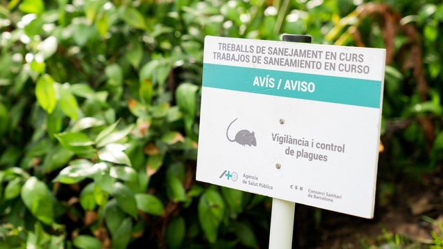 Carteles por una plaga de ratas en un parque de Barcelona / AYUNTAMIENTO DE BARCELONA