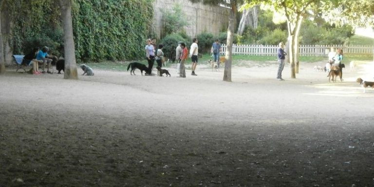 Un pipican del Eixample / ARCHIVO