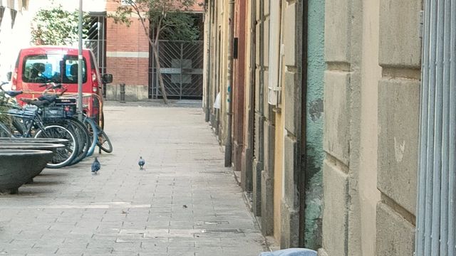 Problemas en el Raval / CEDIDA