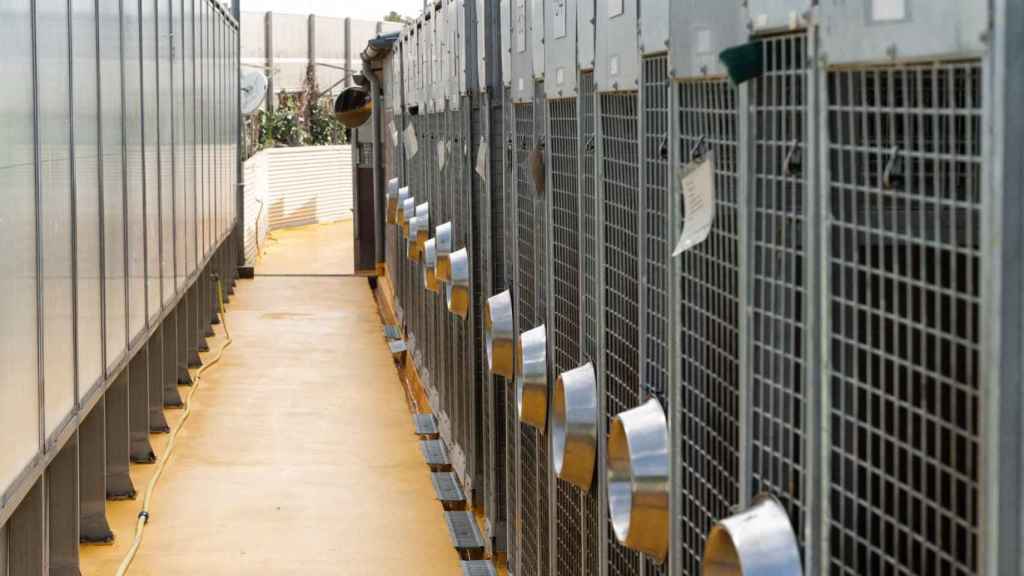 Instalaciones de la perrera municipal de Barcelona