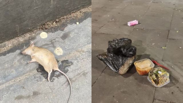 Los restos de comida atraen a las ratas y cucarachas en el Raval / CEDIDA
