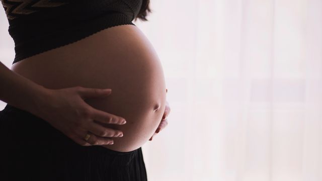 Una mujer muestra su embarazo / EUROPA PRESS