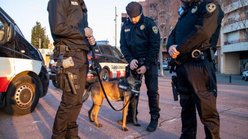 Tres agents de la Guàrdia Urbana de Cornellà amb Tro