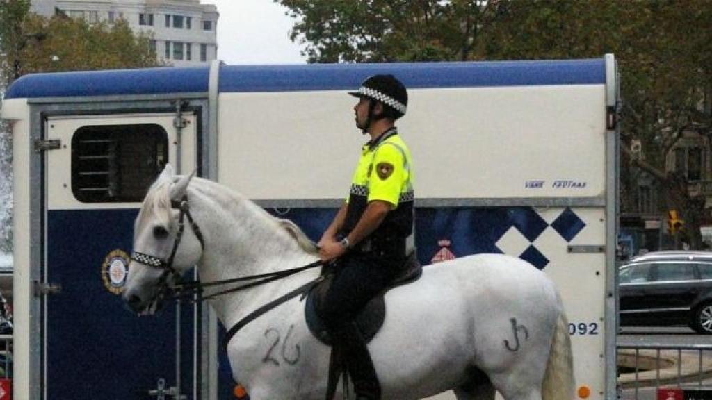 Agent amb un cavall de la Unitat Muntada / WIKI