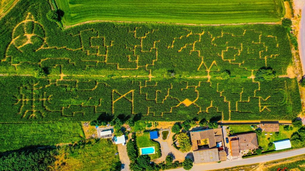 Laberinto del Maíz, en Castellserà (Lleida)