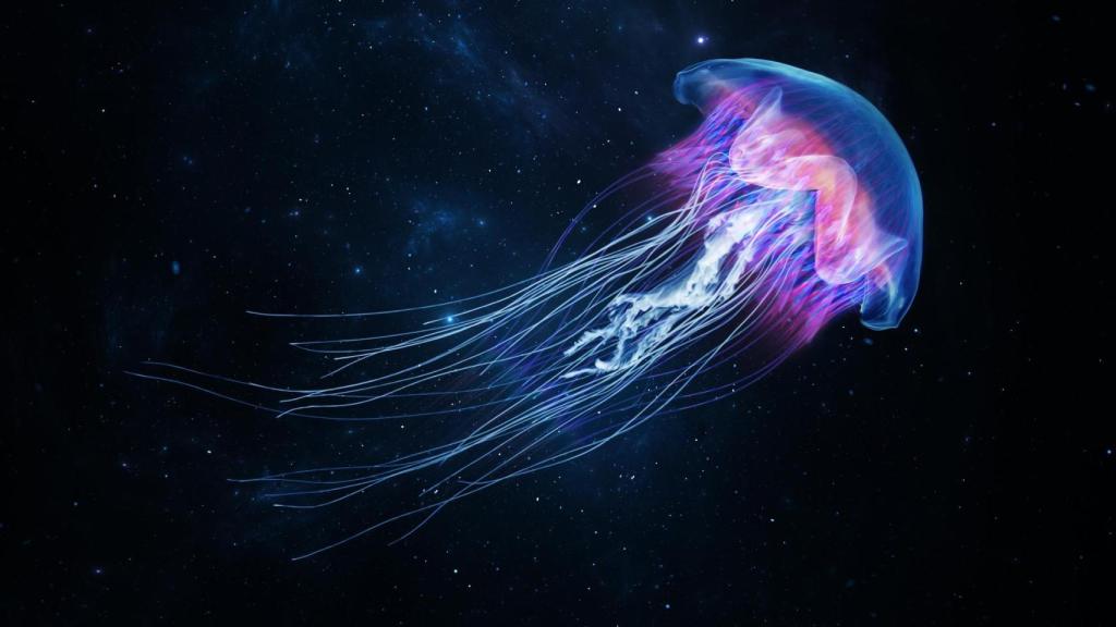 Medusa resplandeciente
