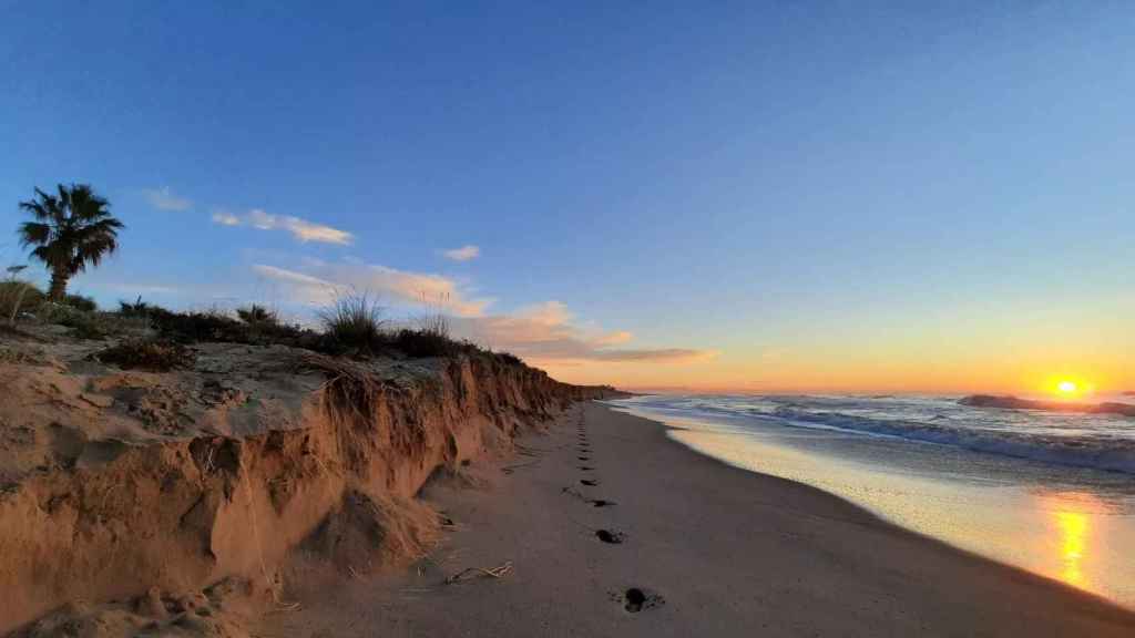 Imatge d'arxiu dels efectes de la regressió a la platja de Gavà