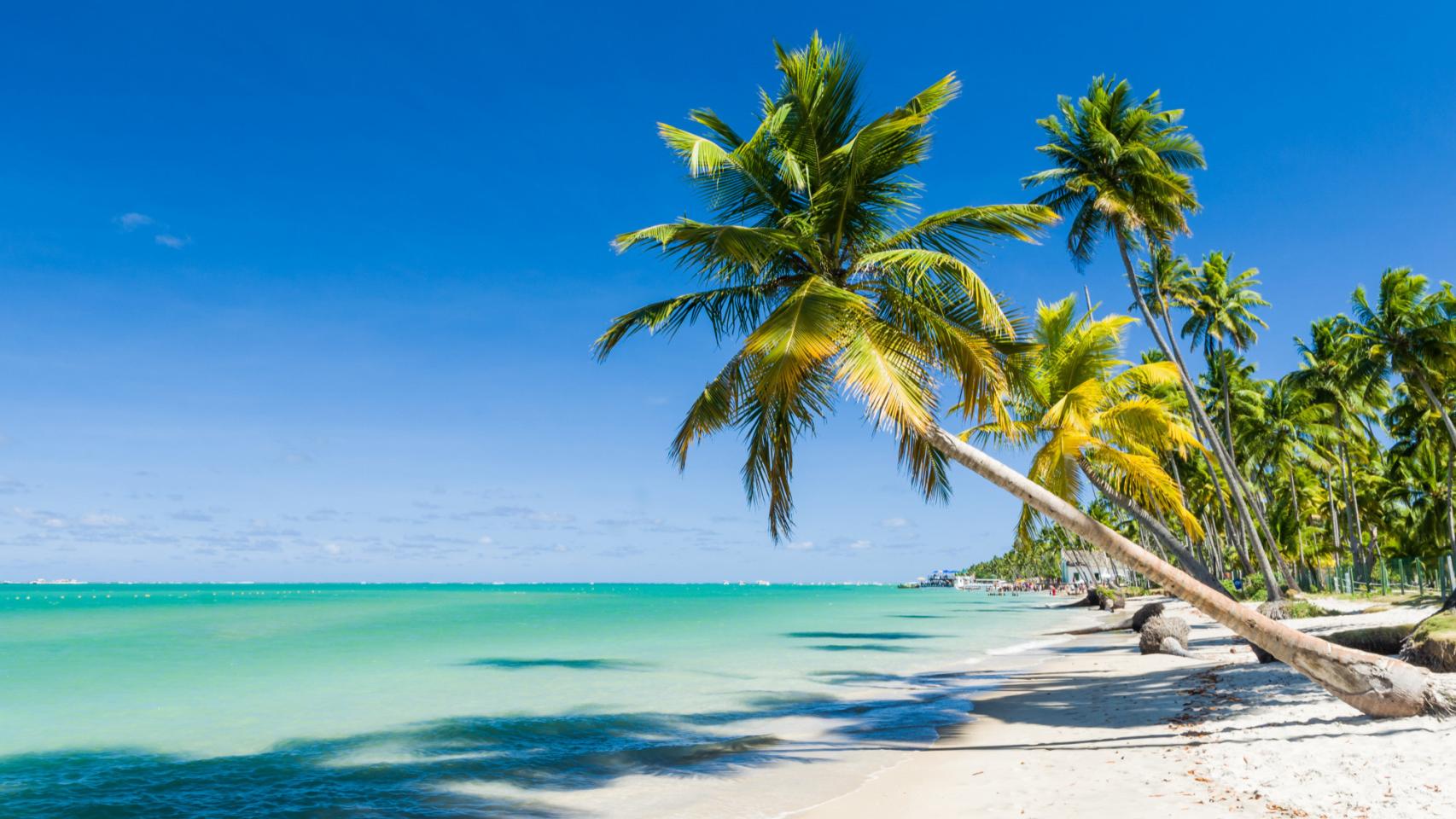 Vacaciones de ensueño