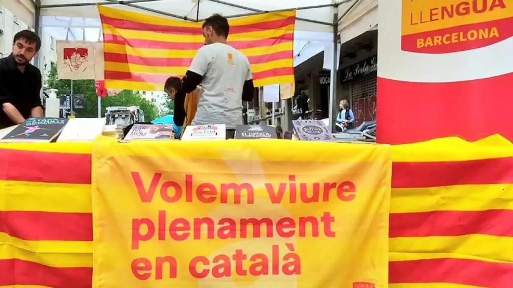 'Stand' de Plataforma per la Llengua
