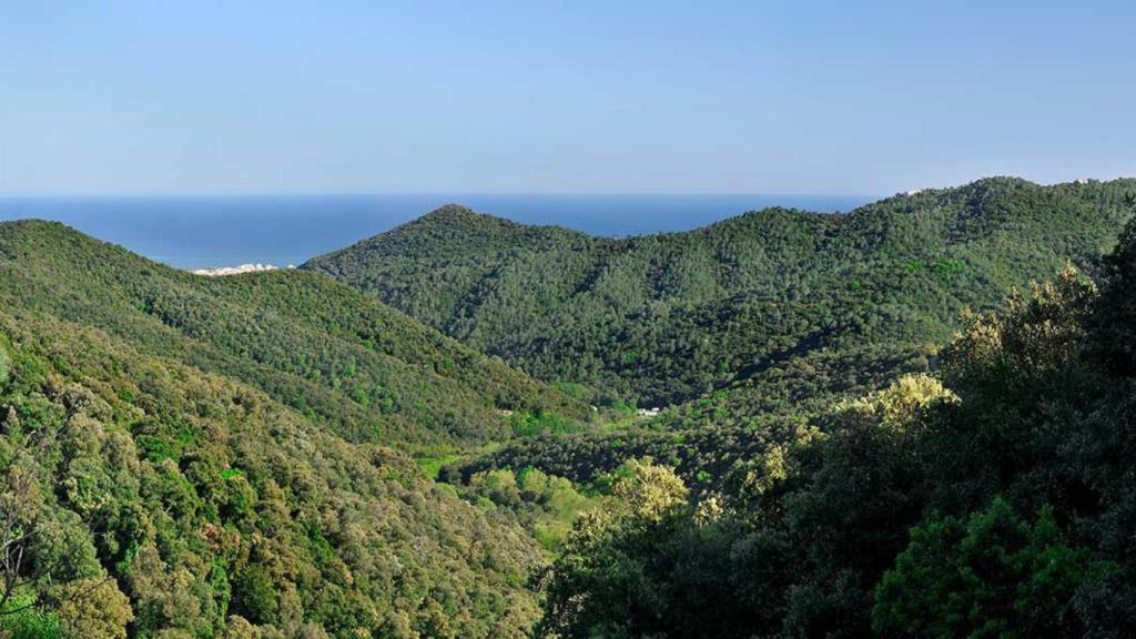 Parque del Montnegre