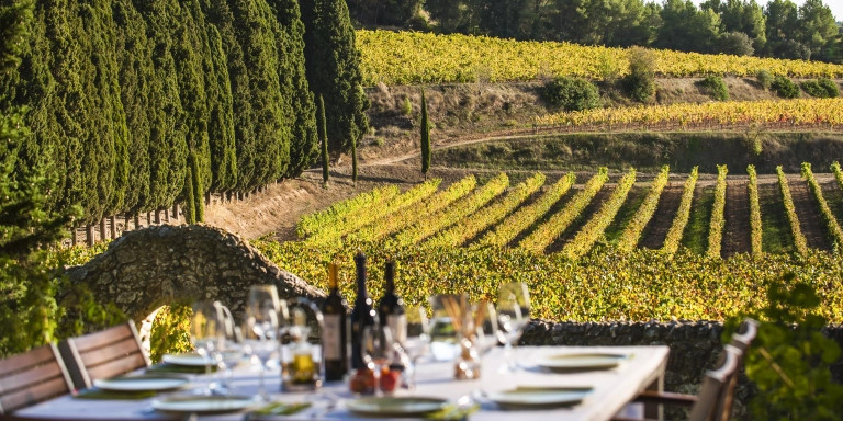 Almorzar entre los viñedos de la bodega Albet i Noya, en el Penedès / Marc Castellet / ACT