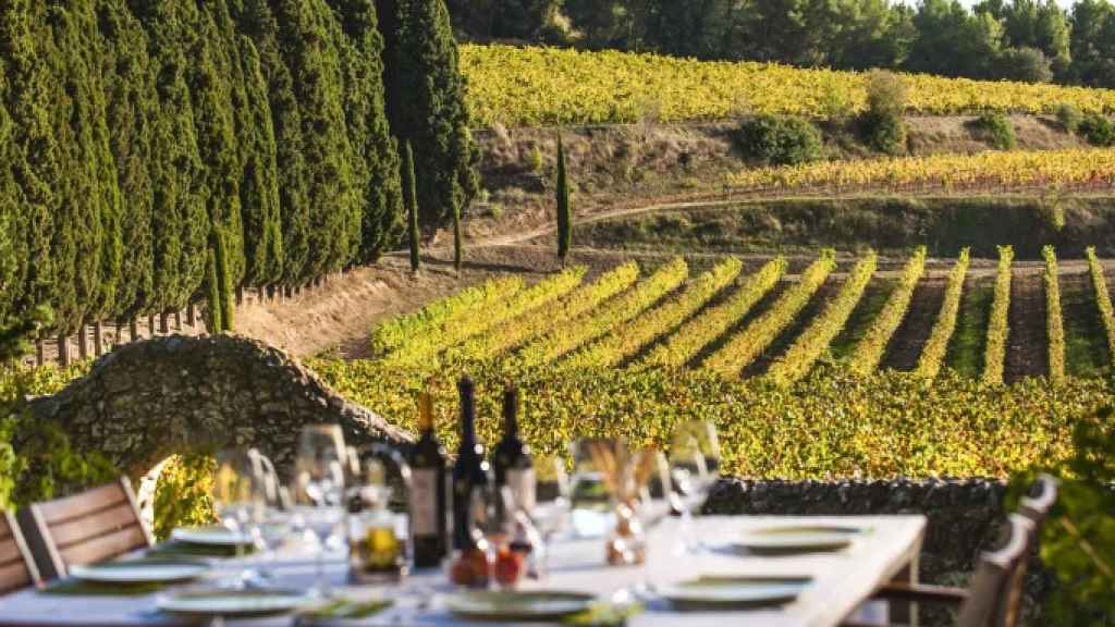 Unos viñedos en una imagen de archivo