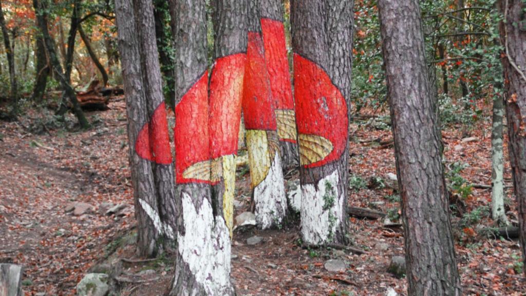 El bosque pintado con setas