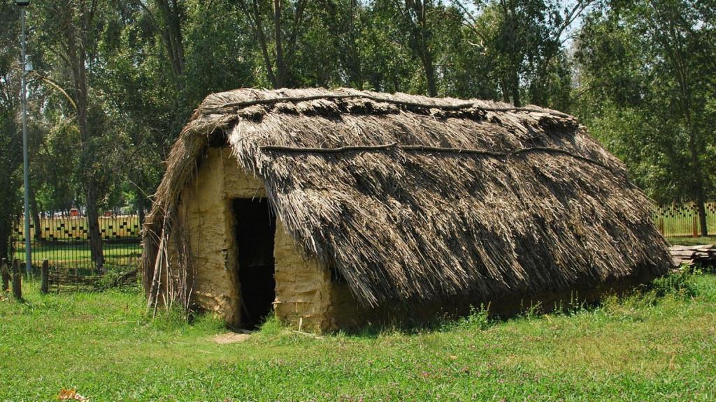 Yacimiento arqueológico de La Draga
