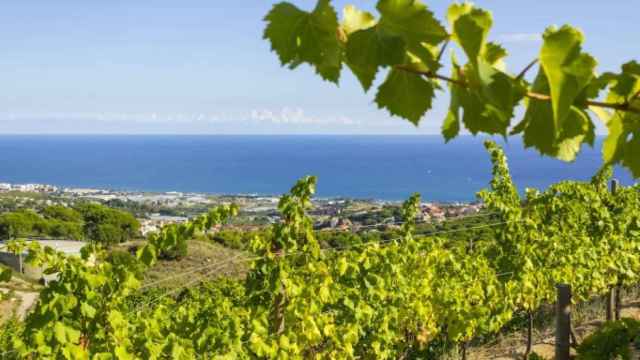 Vistas del mar desde Alella / SHUTTERSTOCK
