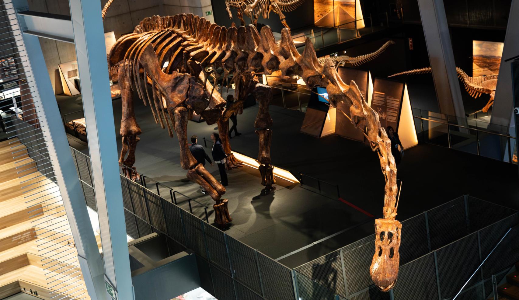 'Patagotitan Mayorum'