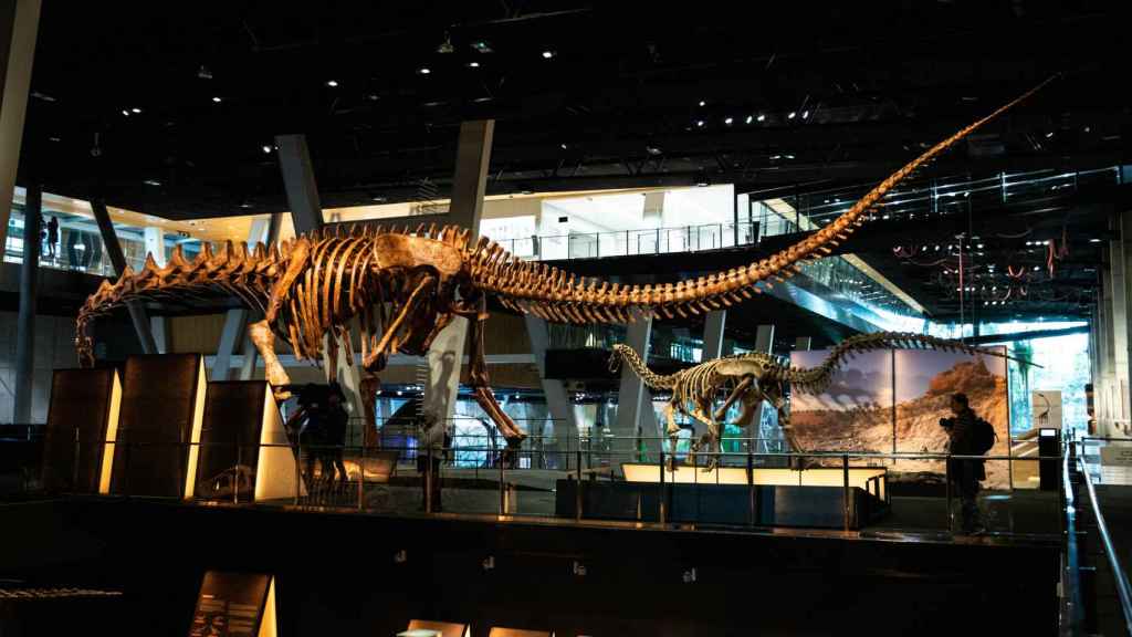 Inauguración dinosaurios de la Patagonia en Cosmocaixa
