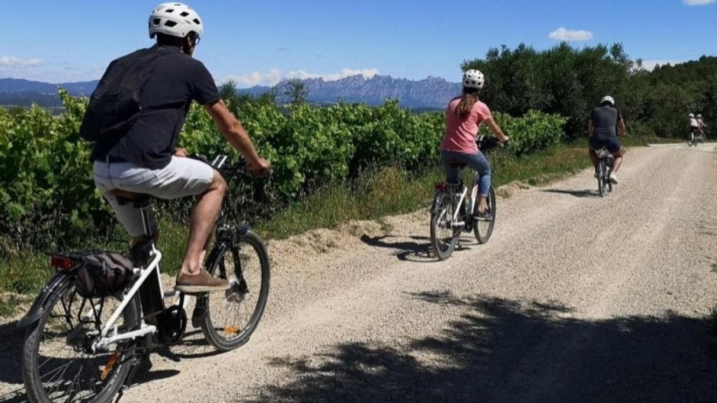 Ruta en bici entre viñedos con Montserrat de fondo