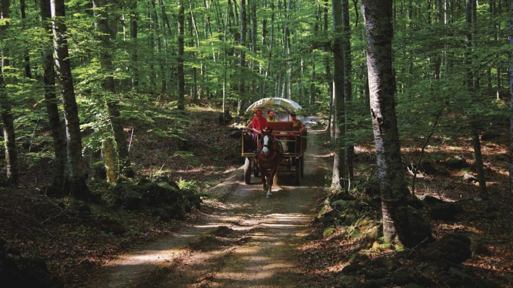 Parque de la Zona Volcánica de la Garrotxa