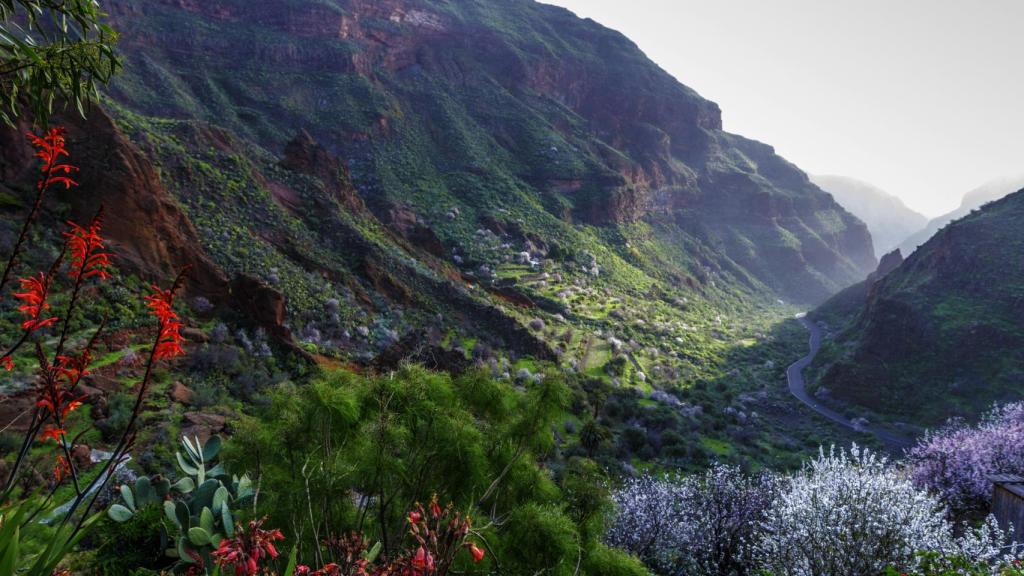 Espectacular imagen del Barranco de Guayadeque, entre las poblaciones de ingenio y Agüimes
