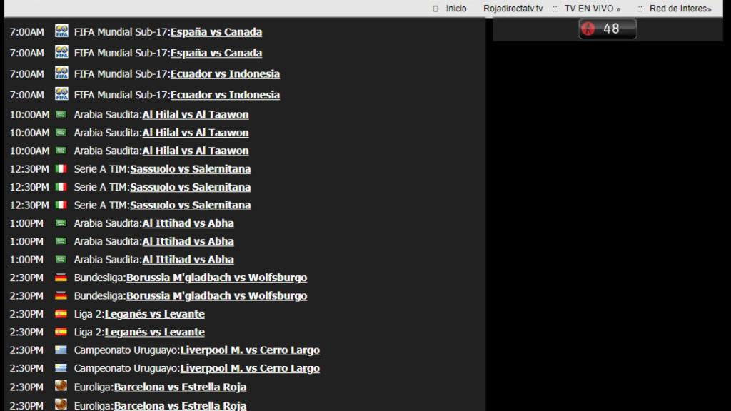 Captura de un filial de Rojadirecta 2