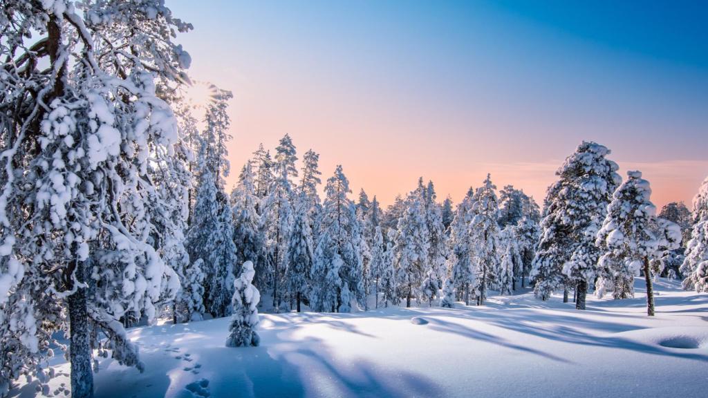 La nieve y el frío anticipan la Navidad / VUELING