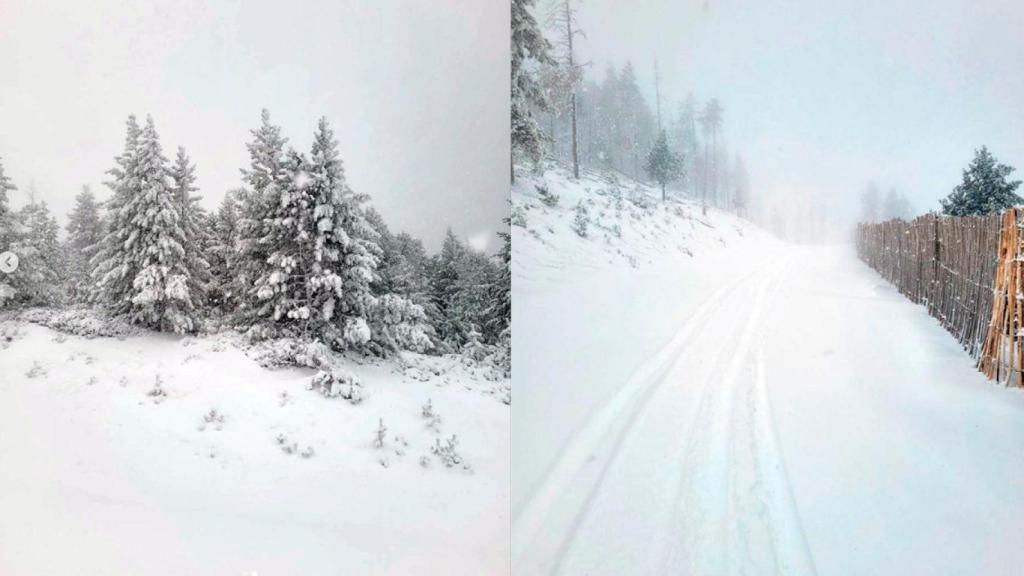 Nevada en Port Ainé