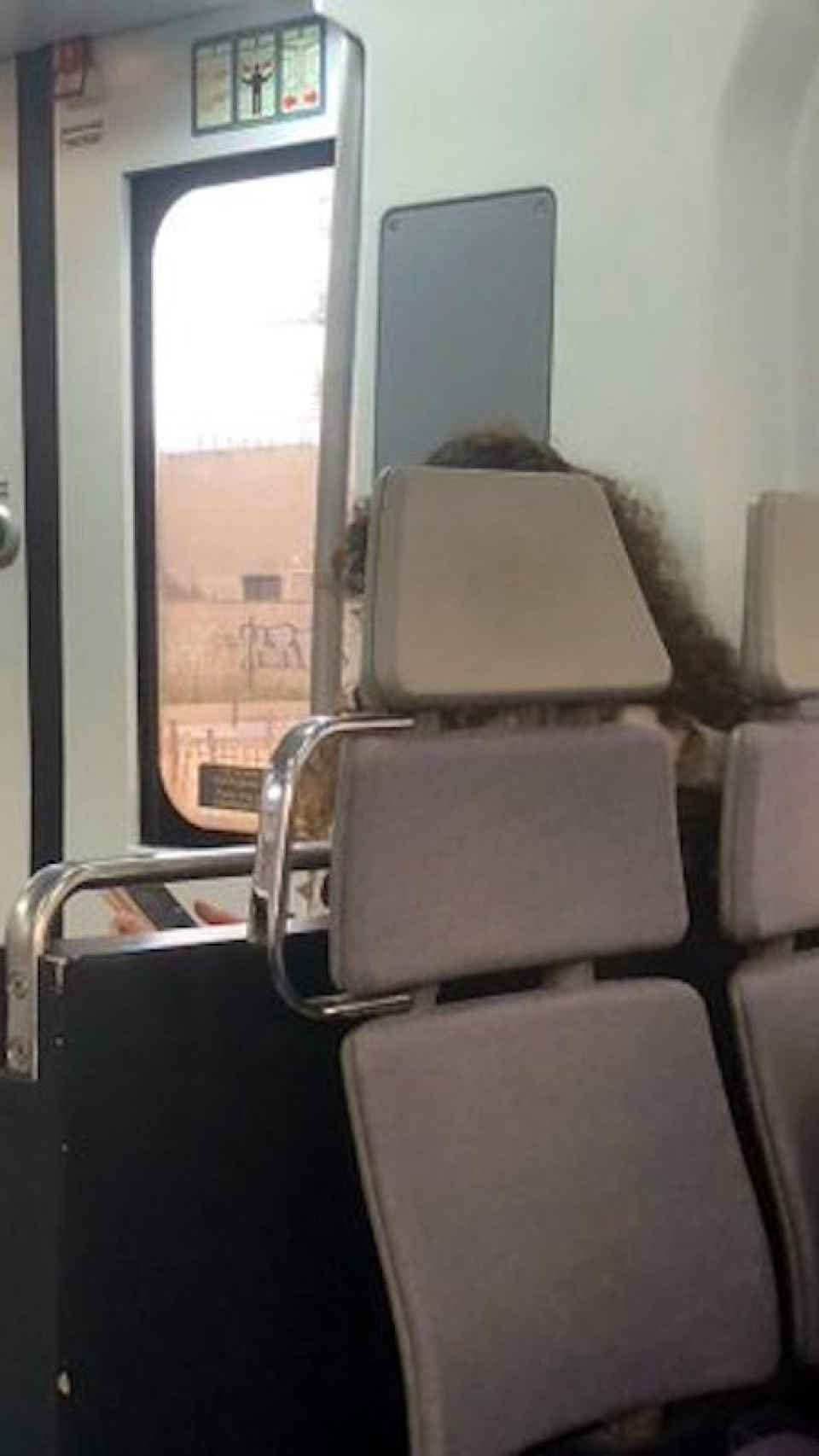 Imatge d'una passatgera de la línia R1