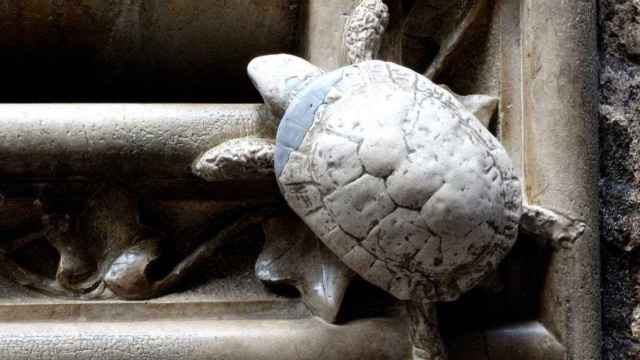 La tortuga en el buzón de ca l'Ardiaca