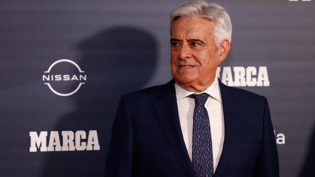 Pedro Rocha, presidente de la RFEF