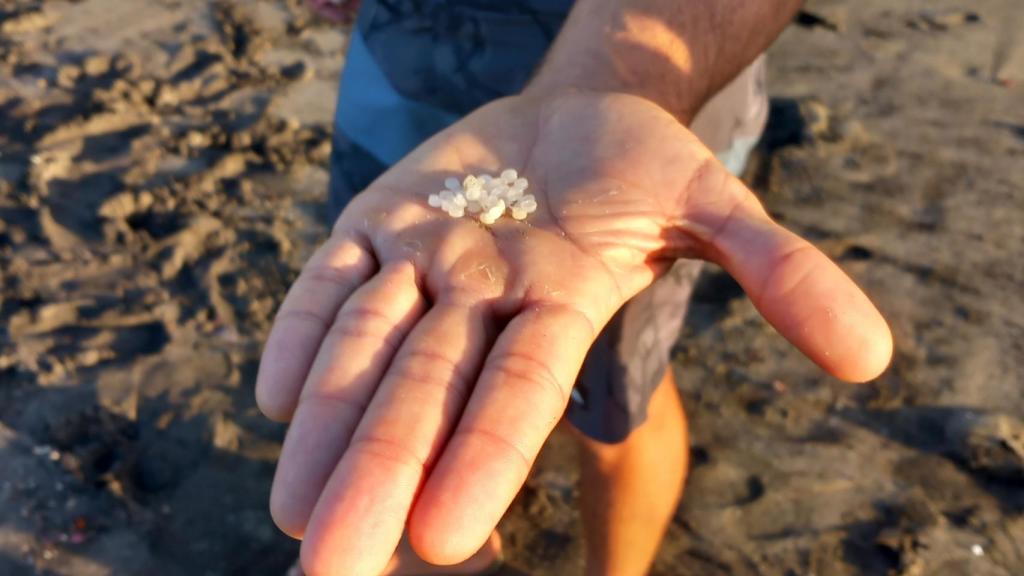 Imagen de pellets en una playa