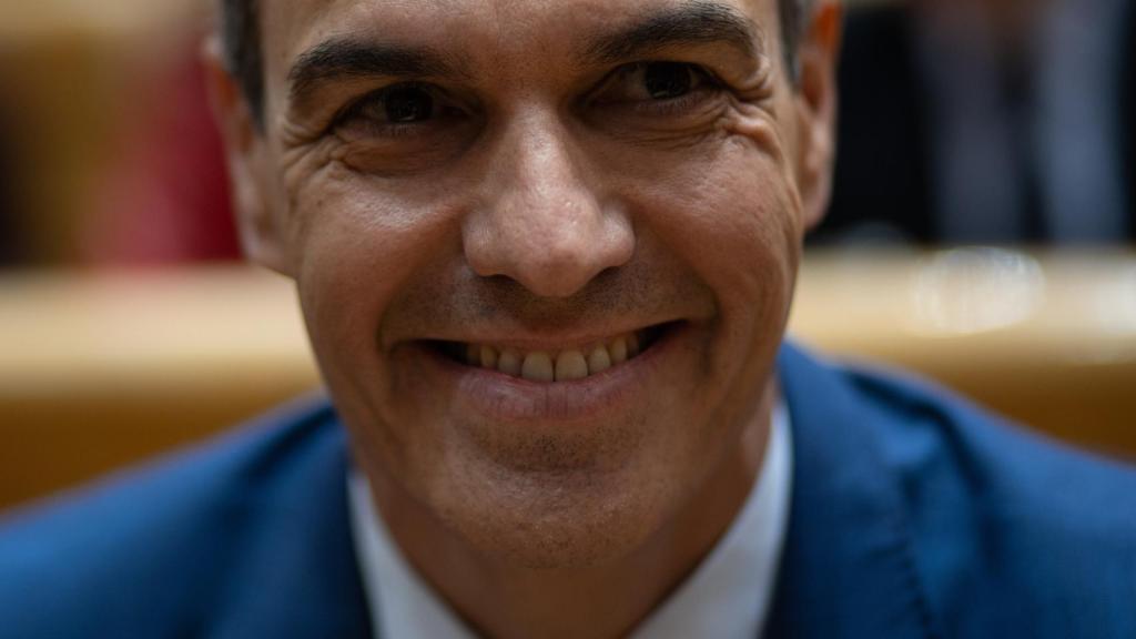 El presidente del Gobierno, Pedro Sánchez, durante el pleno del Congreso de los Diputados, en el Palacio del Senado