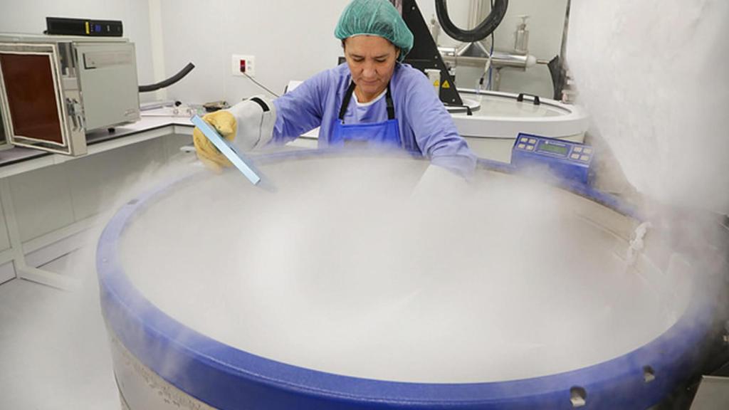 Una sanitaria en el Banc de Sang i Teixits