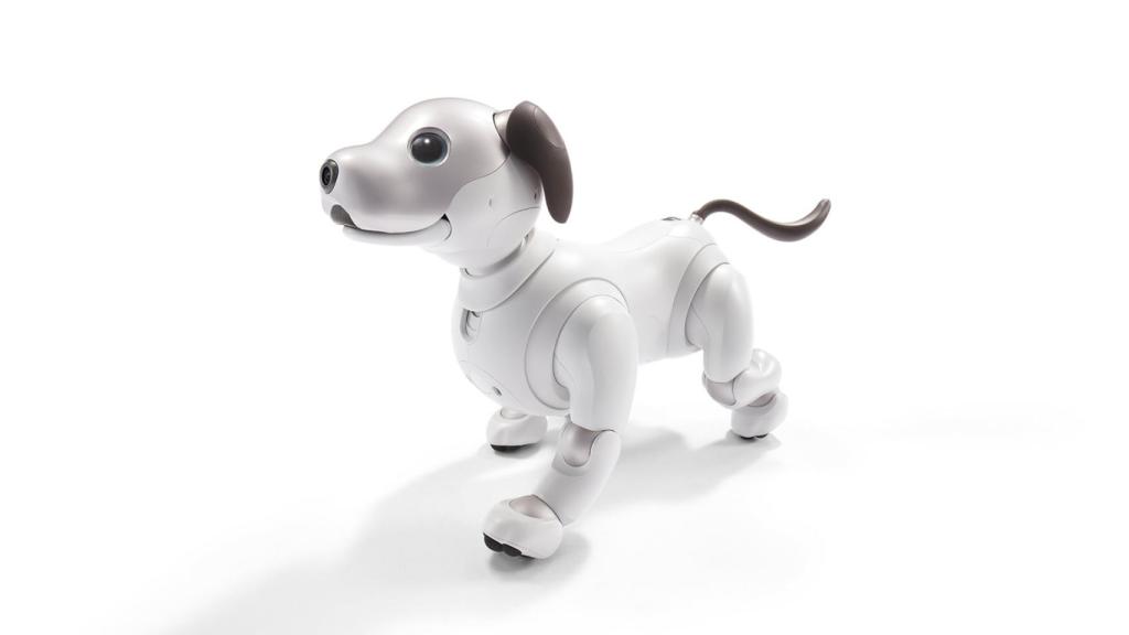 Una de las instalaciones de la exposición del CCCB, obra de RAY de Weidi Zhang. Instal·lació interactiva, 2021