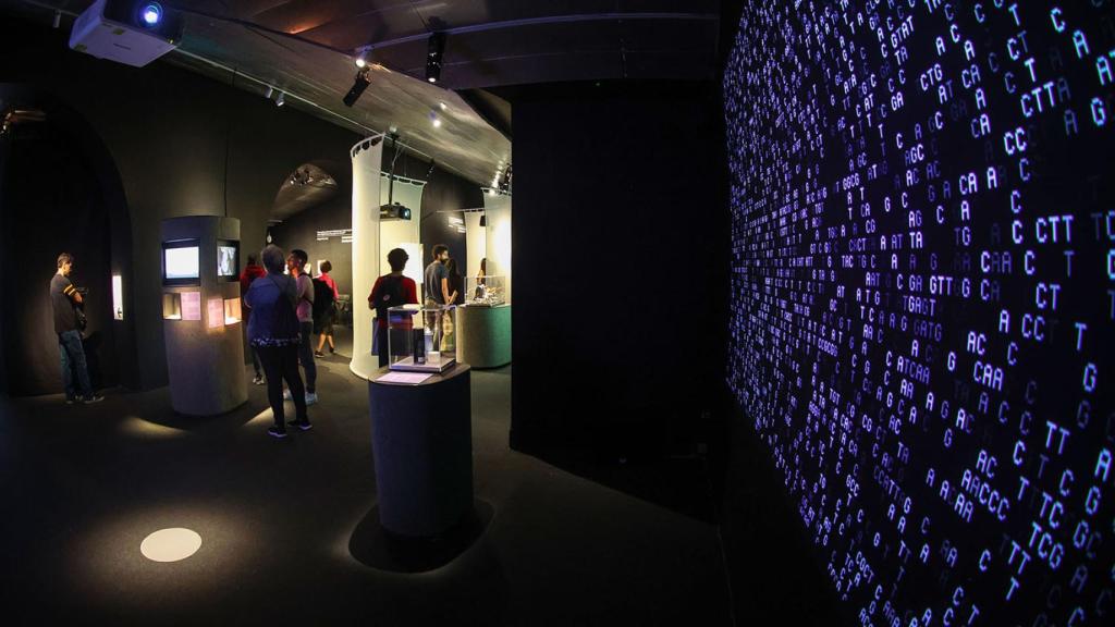 Una de las instalaciones de la exposición del CCCB, obra de RAY de Weidi Zhang. Instal·lació interactiva, 2021