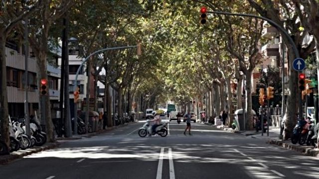 Paseo de la Bonanova