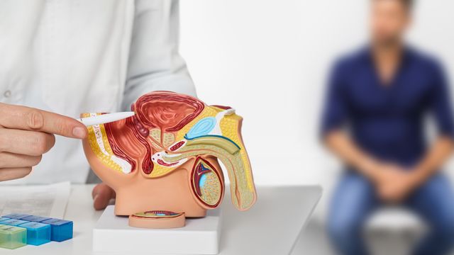 Los exámenes periódicos ayudan a prevenir el cáncer de próstata