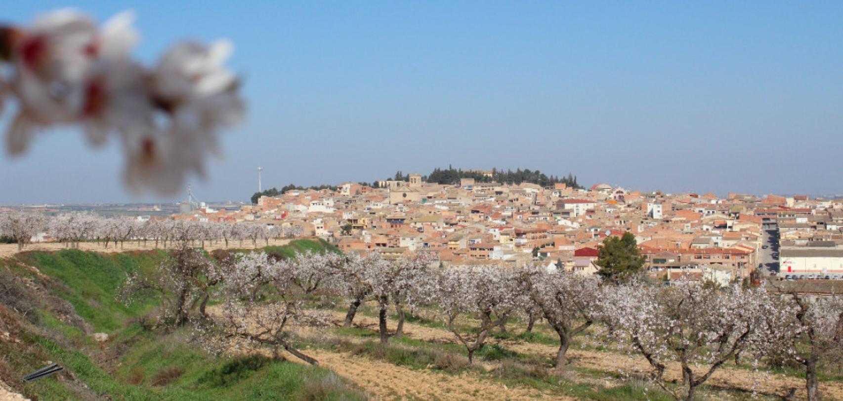 Arbeca con los almendros en flor