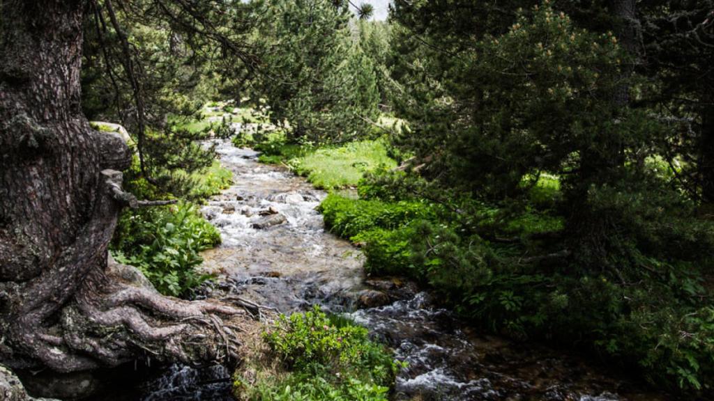 Valle del Madriu-Perafita-Claror