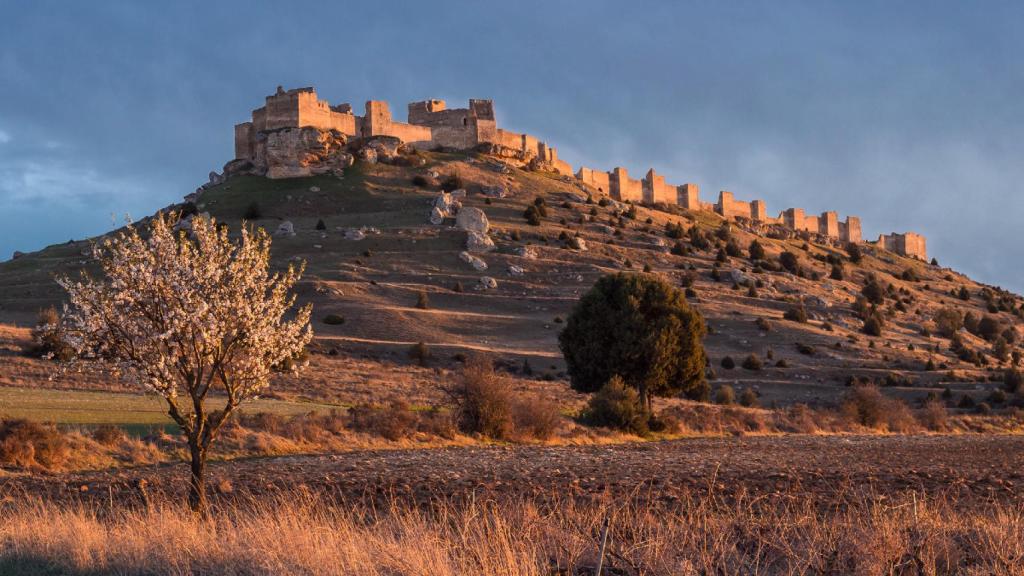 Así es el Castillo de Gormaz, en Soria