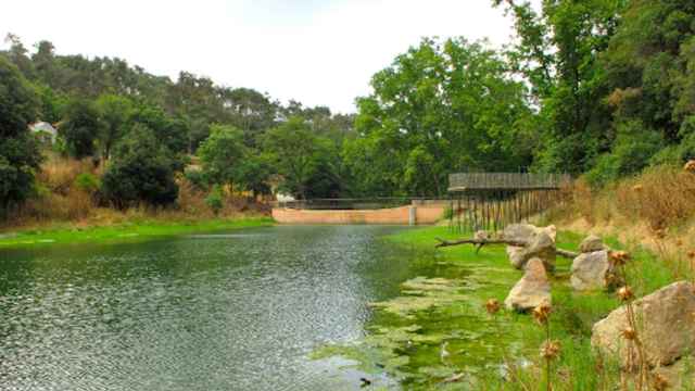 El pantano de Vallvidrera en una imagen de archivo