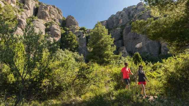 Zona boscosa del Baix Llobregat