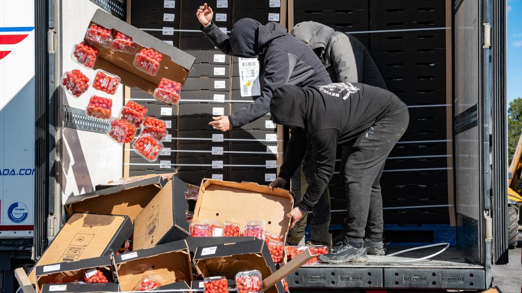 Tres agricultores catalanes vacían un camión de tomates de origen marroquí en la AP-7, cerca de la frontera francesa