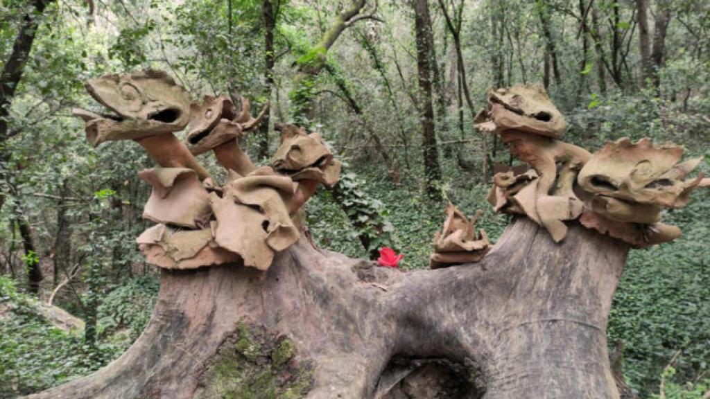 Así es el Bosque Artístico Ernest Borràs