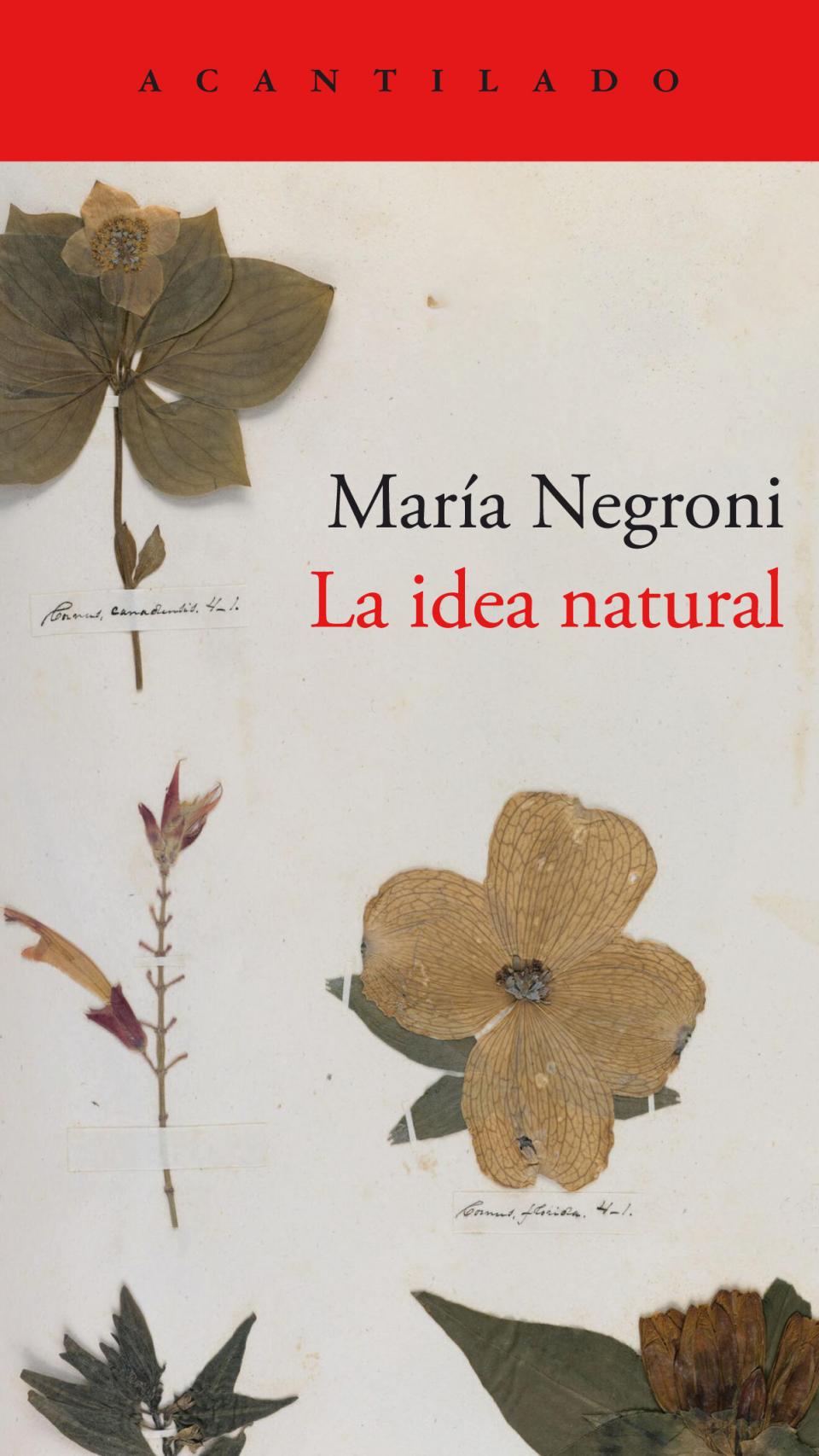 'La idea natural'
