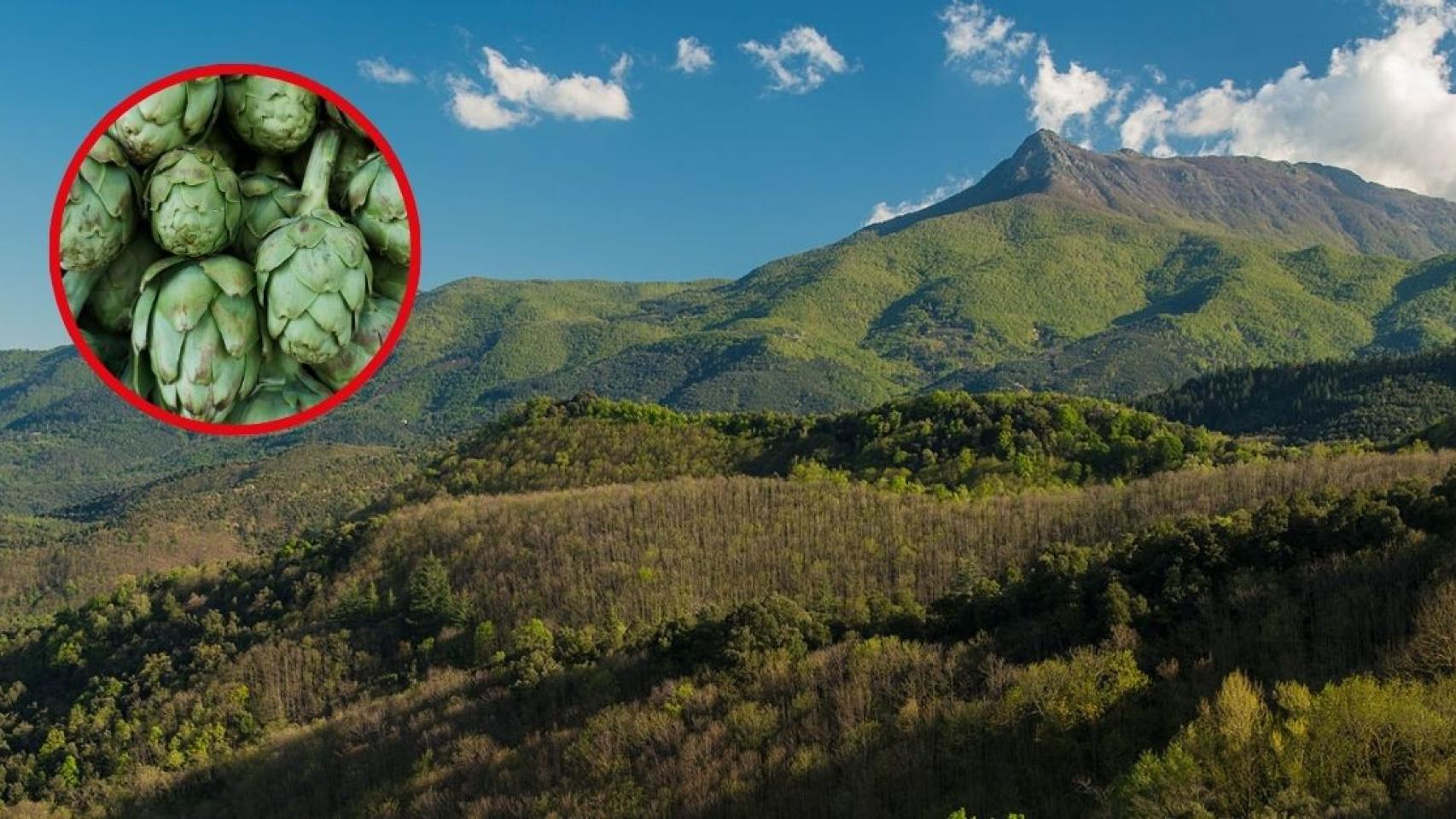 Fotomontaje de una montaña y unas alcachofas