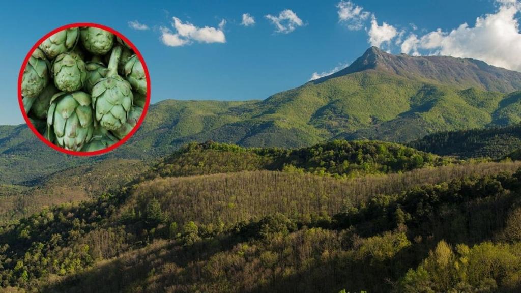 Fotomontaje de una montaña y unas alcachofas