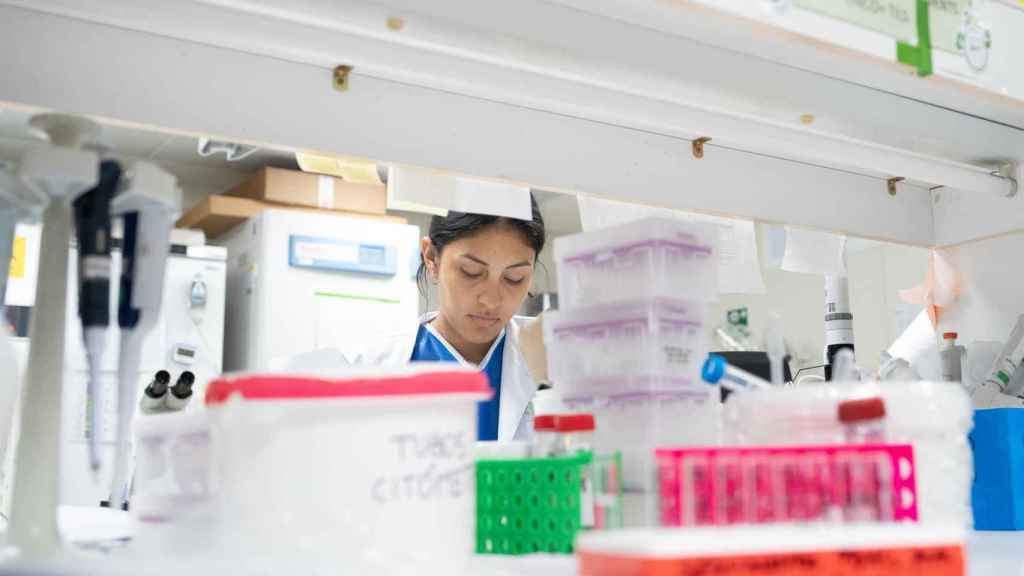 Una dona treballa al laboratori d'investigació clínica de l'Hospital Clínic