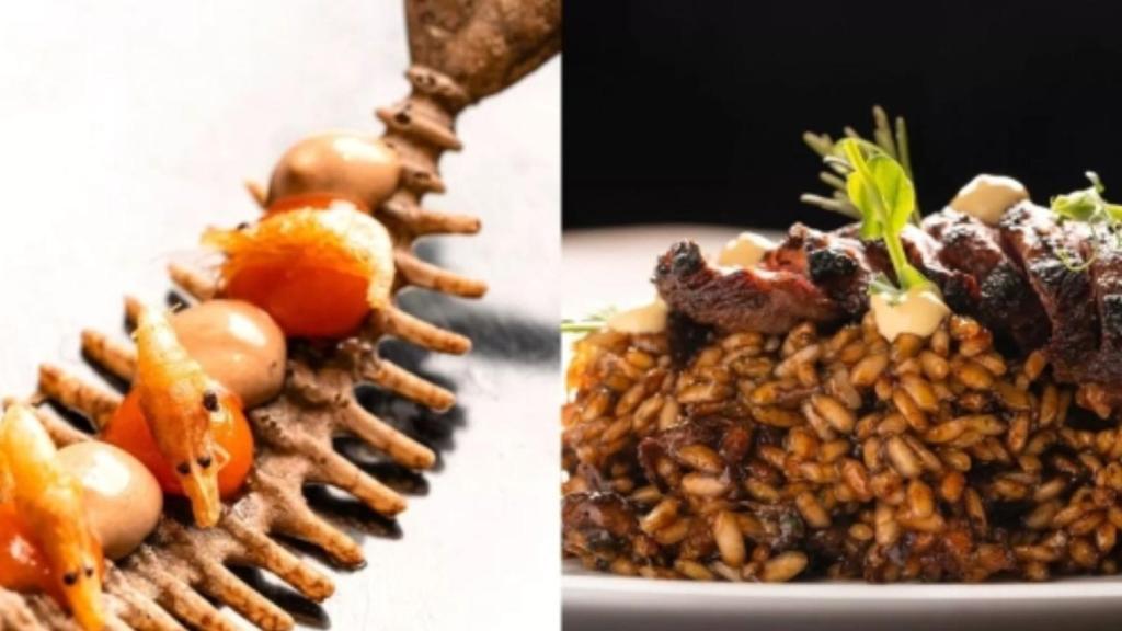 Platos servidos en L'Alkimista