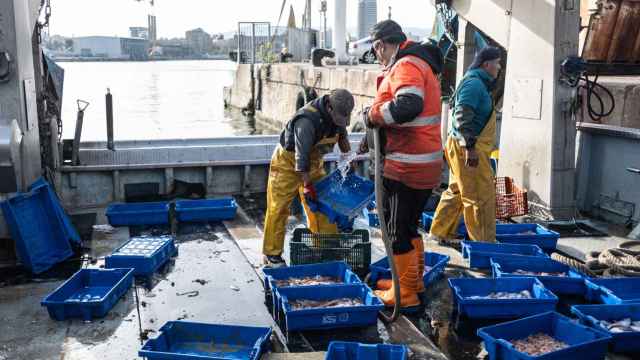 Pescadores trabajando en Barcelona